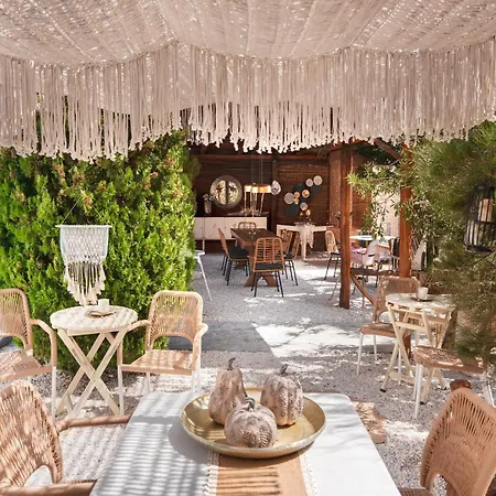 Sunrock - Pansy Naxos City