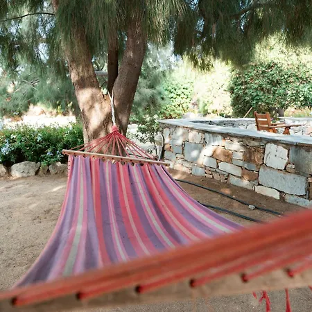 Sunrock - Pansy 3* Stelida (Naxos)