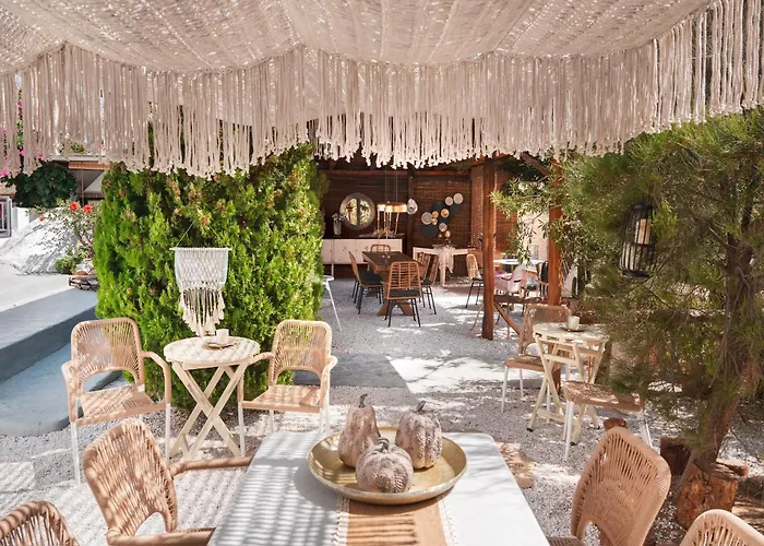 Sunrock - Pansy Naxos City